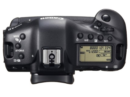 Canon 1Dx professional DSLR