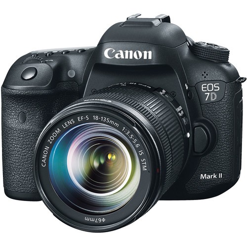 Canon EOS 7D Mark II with 18-135mm f/3.5-5.6 STM Lens